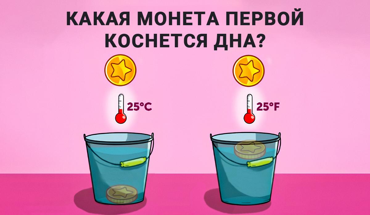 Atsakymas į IQ testą / koliažą Moje
