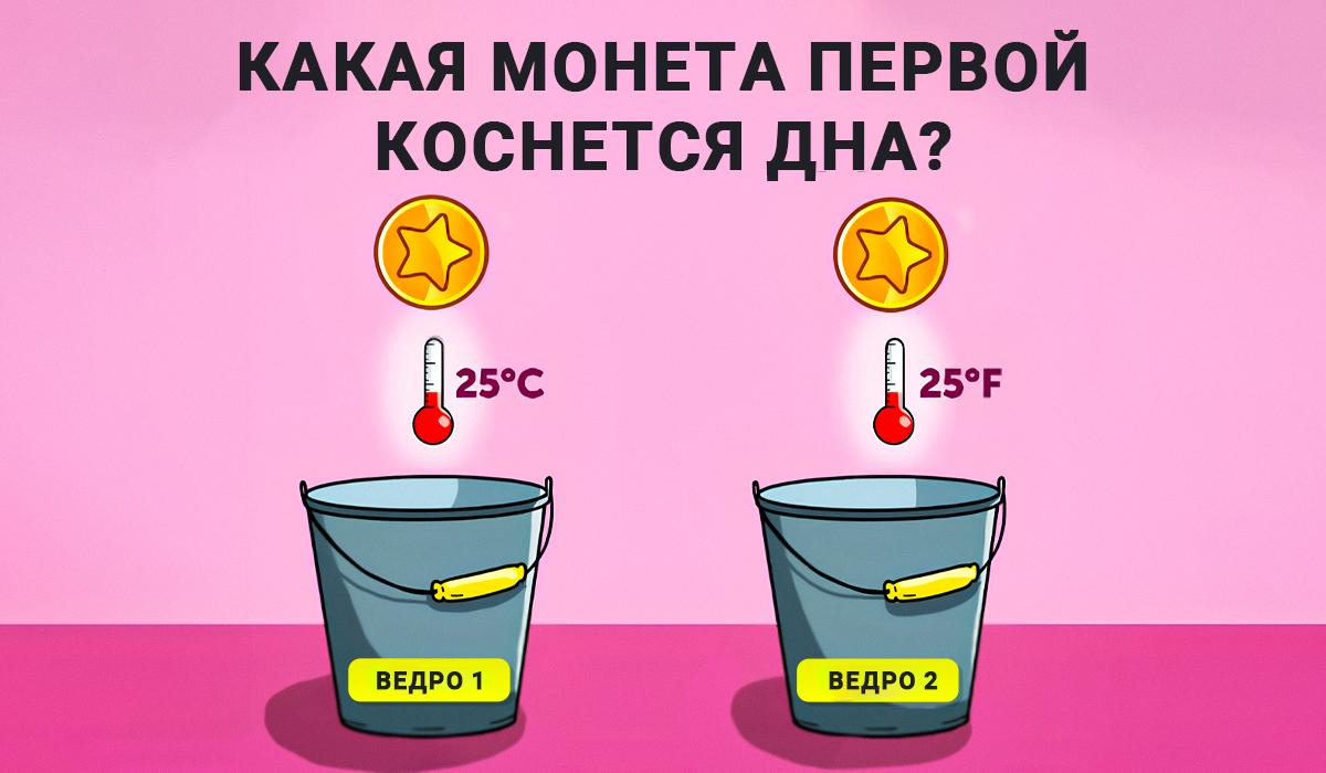 Intelekto ir fizikos žinių testas / koliažas Moje