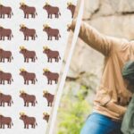 Neįtikėtinai sudėtinga dėlionė: per 10 sekundžių turite rasti keistą bulių