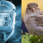 Žvirblį per 11 sekundžių suras tik fantastišką IQ turintys žmonės:
